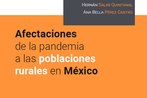 La década COVID en México. Afectaciones de la pandemia a las poblaciones rurales en México. UNAM.